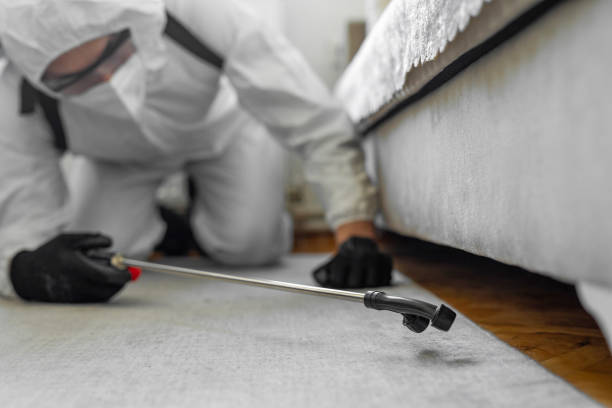 Professional Bed Bug Control technician working in Hale Center, TX