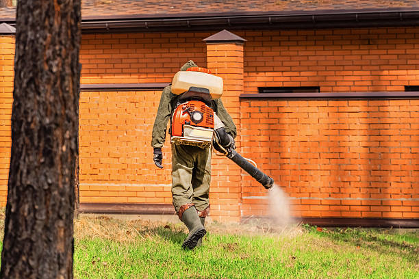 Trusted Emergency Pest Control service in Hale Center, TX - Nex Pest Control